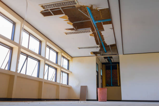 Best Water damage restoration near me  in New Paleste, IN