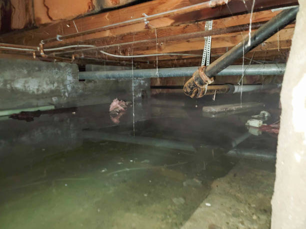 Reliable IN Water damage restoration Solutions
