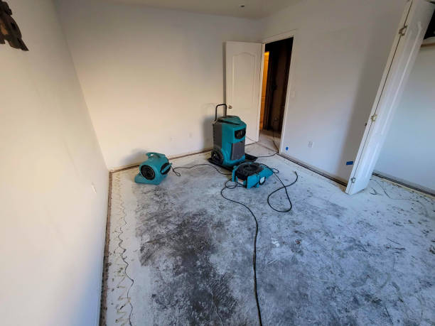 Best Water damage mitigation services  in New Paleste, IN