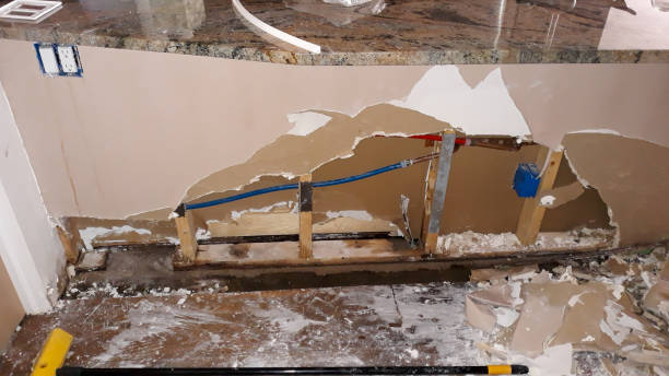 Best Water damage contractors near me  in New Paleste, IN