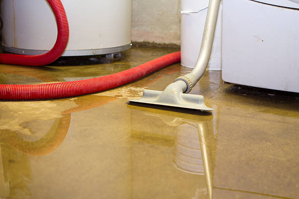 Best Professional water damage repair  in New Paleste, IN