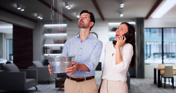 Best Mold removal after water damage  in New Paleste, IN