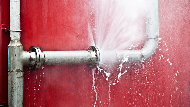 Best Fire Damage Restoration  in New Paleste, IN